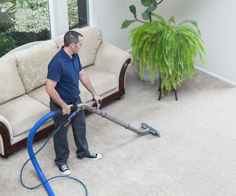 Guidelines To Find The Most Efficient Carpet Cleaning Services For Your Home