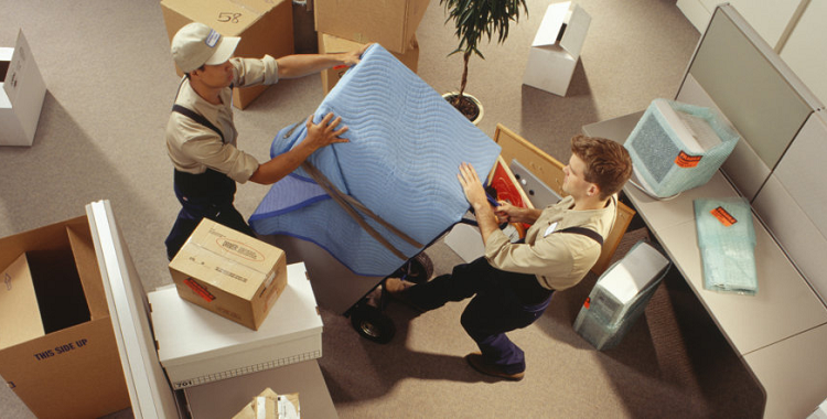 Five Reasons to Hire Professional Removalists When Moving Into Your New Home