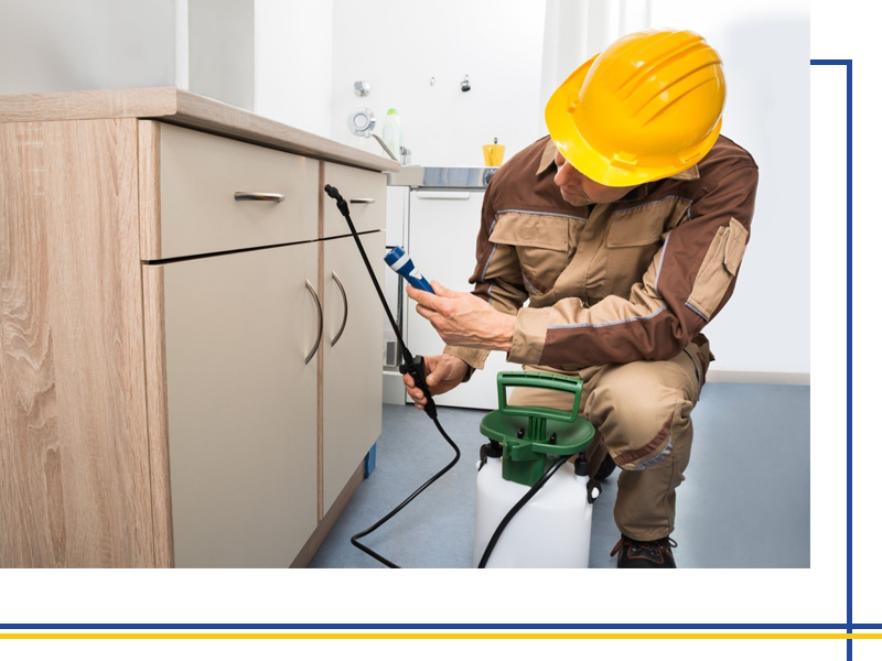 Pest Management Services Are Very Good at Exterminating Unwanted pests