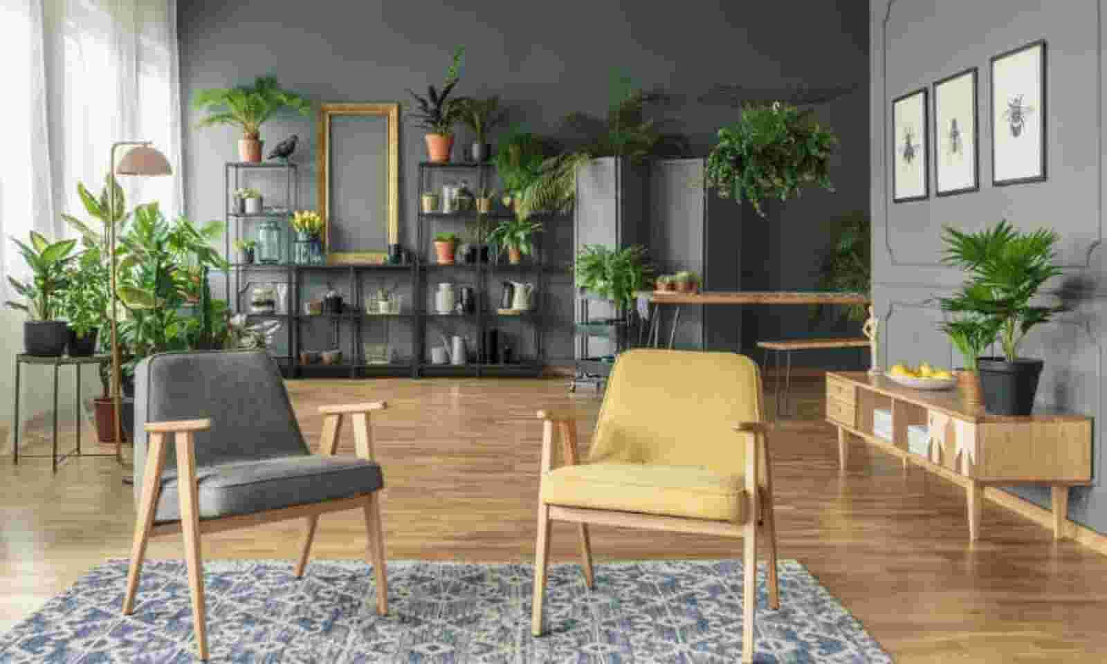 Making Your Property Breathe: Enhancing Ventilation in Your Home
